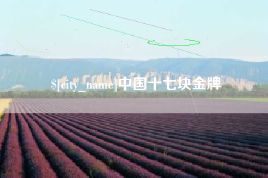 漳浦中国十七块金牌