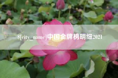 漳浦中国金牌榜明细2021