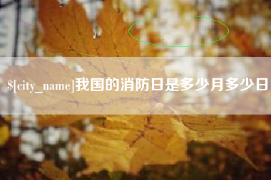 漳浦我国的消防日是多少月多少日