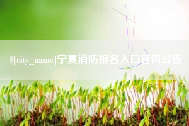 漳浦宁夏消防报名入口官网公告