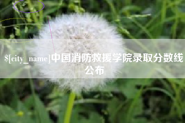漳浦中国消防救援学院录取分数线公布