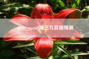 漳浦排三九宫图预测