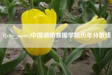 漳浦中国消防救援学院历年分数线