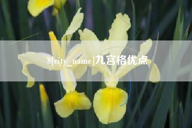 漳浦九宫格优点