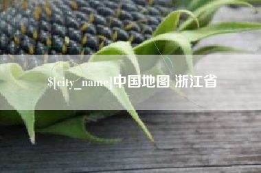 漳浦中国地图 浙江省