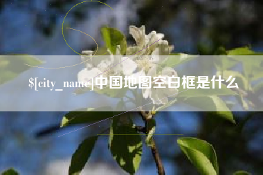 漳浦中国地图空白框是什么