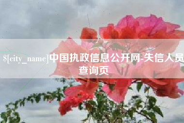 漳浦中国执政信息公开网-失信人员查询页
