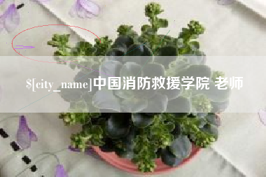 漳浦中国消防救援学院 老师