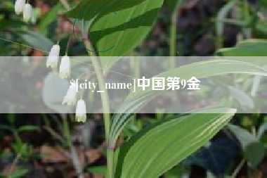 漳浦中国第9金