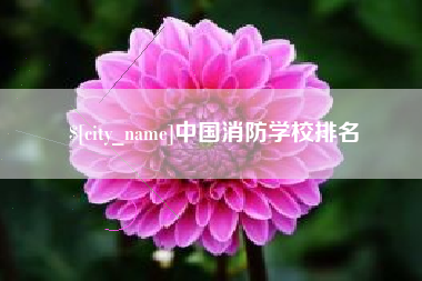 漳浦中国消防学校排名