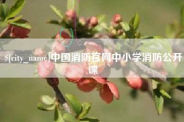 漳浦中国消防官网中小学消防公开课