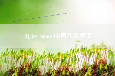 漳浦中国几金牌了