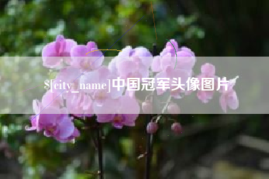 漳浦中国冠军头像图片