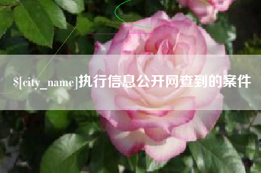 漳浦执行信息公开网查到的案件
