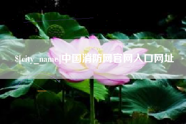 漳浦中国消防网官网入口网址