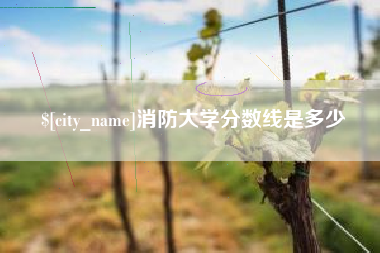 漳浦消防大学分数线是多少