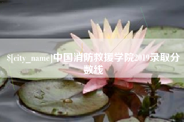 漳浦中国消防救援学院2019录取分数线
