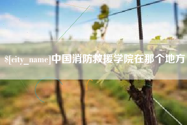 漳浦中国消防救援学院在那个地方