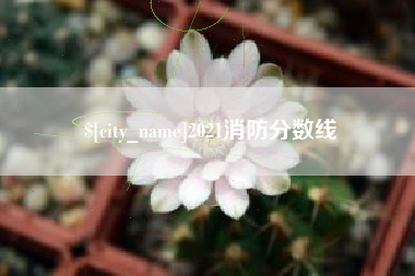 漳浦2021消防分数线