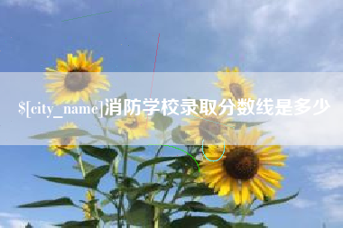 漳浦消防学校录取分数线是多少