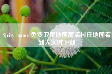 漳浦免费卫星地图高清村庄地图看到人实时下载