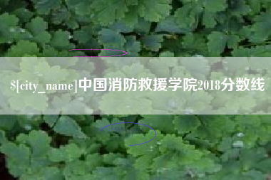 漳浦中国消防救援学院2018分数线