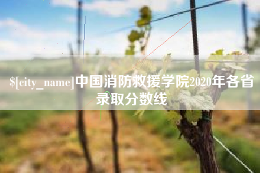 漳浦中国消防救援学院2020年各省录取分数线