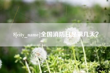 漳浦全国消防日是第几天？