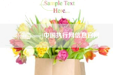 漳浦中国执行网信息官网