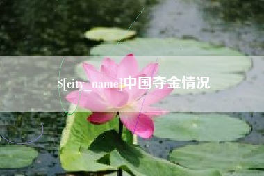 漳浦中国夺金情况