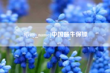漳浦中国最牛保镖