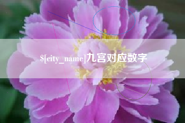 漳浦九宫对应数字