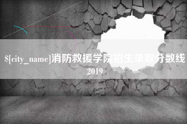 漳浦消防救援学院招生录取分数线2019