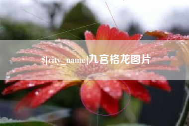 漳浦九宫格龙图片