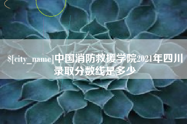 漳浦中国消防救援学院2021年四川录取分数线是多少