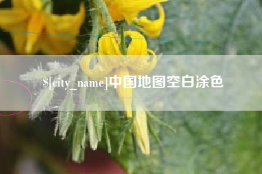 漳浦中国地图空白涂色