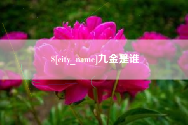 漳浦九金是谁