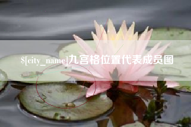 漳浦九宫格位置代表成员图
