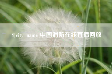 漳浦中国消防在线直播回放