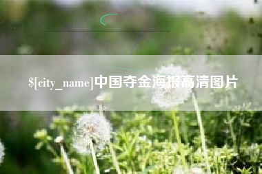 漳浦中国夺金海报高清图片