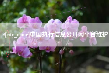 漳浦中国执行信息公开网平台维护