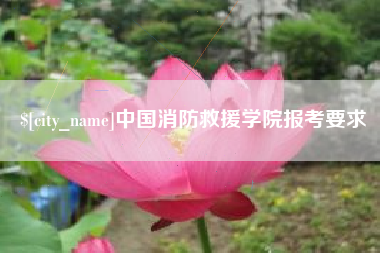 漳浦中国消防救援学院报考要求