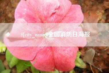漳浦全国消防日海报