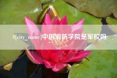 漳浦中国消防学院是军校吗