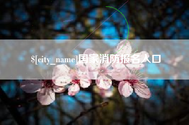 漳浦国家消防报名入口