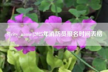 漳浦2025年消防员报名时间表格