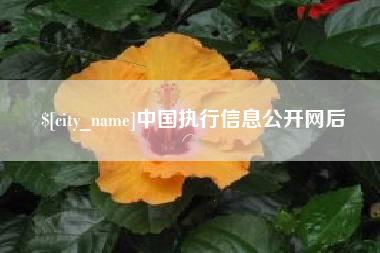 漳浦中国执行信息公开网后