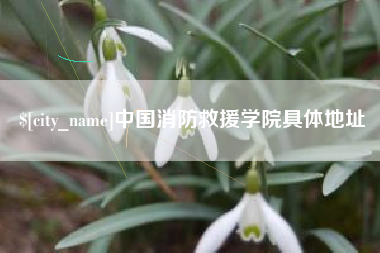 漳浦中国消防救援学院具体地址