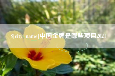 漳浦中国金牌是哪些项目2021