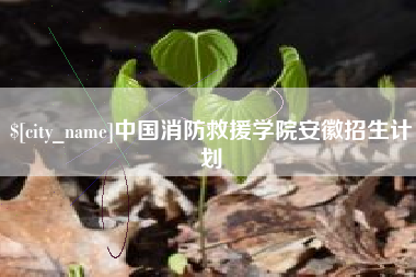 漳浦中国消防救援学院安徽招生计划
